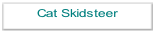 Cat Skidsteer.